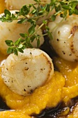 Scallops with pumpkin and thyme (close-up)