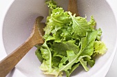 Mixed salad leaves in bowl with salad servers