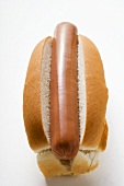 Hot dog without garnish