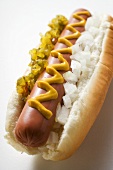 Hot dog with relish, mustard and onions