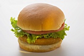 Chicken burger with tomato and lettuce