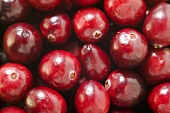 Cranberries (full-frame)