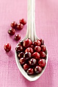 Cranberries on spoon