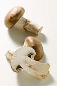 Shiitake mushroom, whole and halved