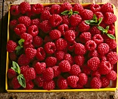 Several Raspberries Covered in Water Drops