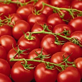 Tomatoes, some with stalks (filling the picture)