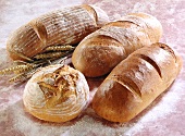 Various wheat loaves