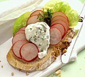 Open sandwich with radishes and herb quark