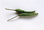 Two Green Chili Peppers