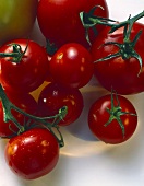 Cherry Tomatoes on the Vine