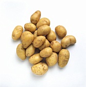 Several potatoes on white background