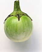 Green aubergine on white background