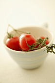 Cherry tomatoes in a bowl