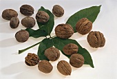 Several walnuts