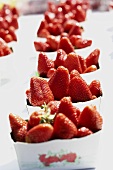 Fresh strawberries in cardboard punnets