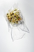 Sprouts in transparent film