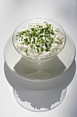 Cottage cheese in a glass bowl