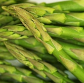 A bundle of green asparagus (filling the picture)