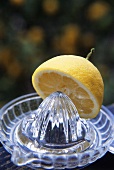 Zitronenhälfte mit Zitruspresse