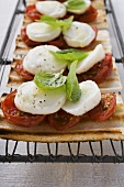 Tomatoes, mozzarella and basil on grilled bread