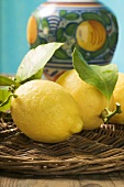 Fresh lemons with leaves on wicker tray