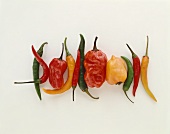 Various types of chilli