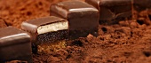 Chocolate squares on cocoa powder