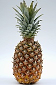 Eine Ananas