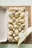 Speckled chocolate eggs in an egg box