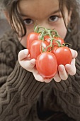 Girl holding tomatoes on the vine