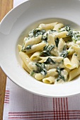 Penne rigate with spinach and cream sauce