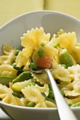 Farfalle mit Gemüse