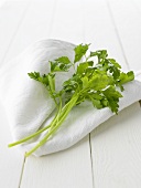 Flat leaf parsley on white cloth