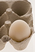 An egg in an egg box