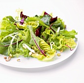 Gemischter Salat mit Smoothie