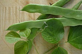Flat-podded beans with leaves