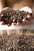 Young woman with coffee beans in her hand
