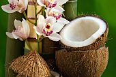 Kokosnuss mit Orchideenblüten und Bambusstangen