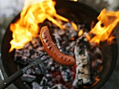 Holding sausage over fire