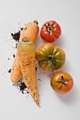 Two carrots with soil and three tomatoes