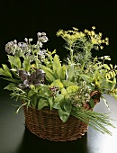 Fresh culinary herbs in a basket