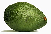 An avocado