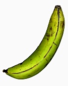 A plantain