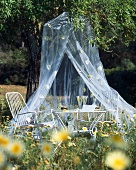 Table with stuffed avocado and drink under mosquito net