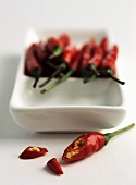Red chillies in white porcelain dish