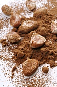 Kakaobohnen und Kakopulver