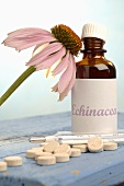 Purple coneflower (Echinacea), drops, tablets & clinical thermometer