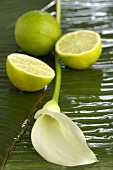 White calla lily with limes on banana leaf