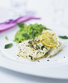 Fish fillet with herbs