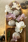 Candles and orchids in wooden dish